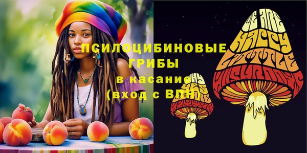 тгк Алексин