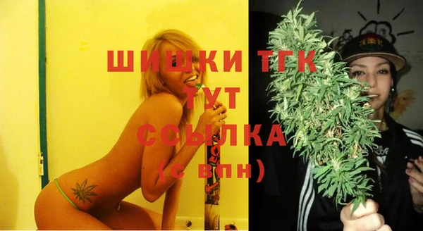 тгк Алексин