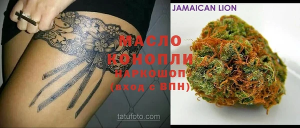 дмт Алзамай