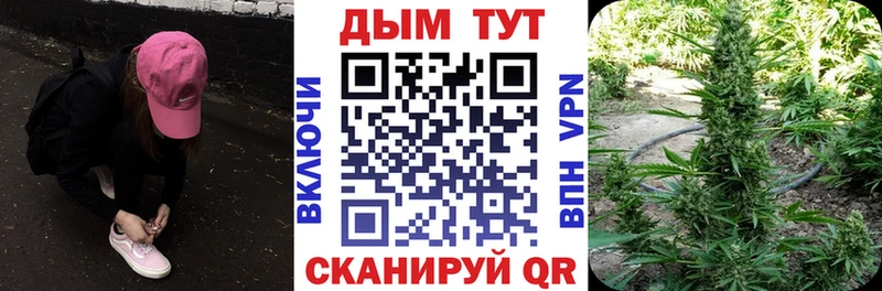 Канабис ГИДРОПОН Кимры